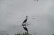 DSC07737.JPG